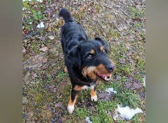 CARLO sucht sein perfect match ❤️