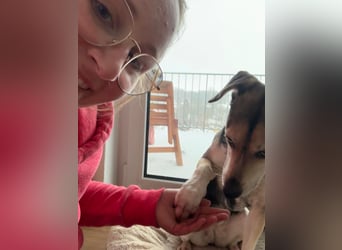 Menschenbezogene RONJA sucht perfect match ❤️