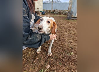 Zarte IRMA sucht Zuhause oder PS ❤️