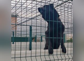 Liebe Mirka sucht ihre Familie ❤️