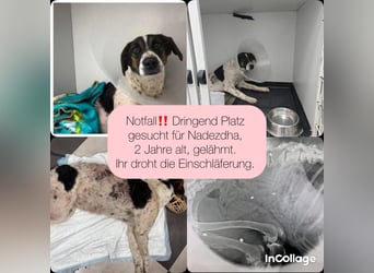 Notfall Nadezhda ❤️