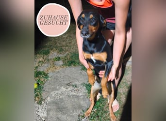 MOLI wartet auf ihrer Familie❤️