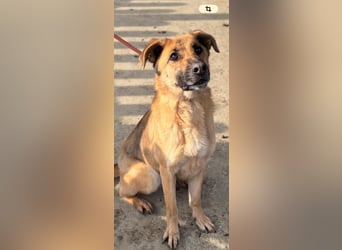 Luna wartet auf ihr Glück❤️