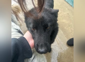 Liebe Mirka sucht ihre Familie ❤️