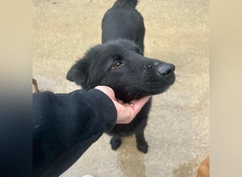 Liebe Mirka sucht ihre Familie ❤️