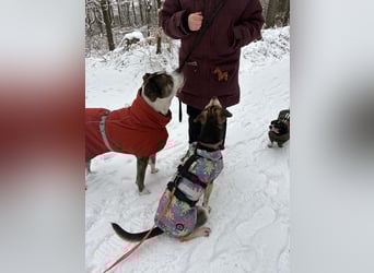 Menschenbezogene RONJA sucht perfect match ❤️