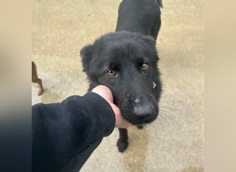 Liebe Mirka sucht ihre Familie ❤️