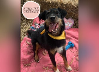 CARLO sucht sein perfect match ❤️