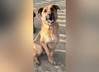 Luna wartet auf ihr Glück❤️