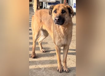 Luna wartet auf ihr Glück❤️