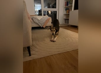 Menschenbezogene RONJA sucht perfect match ❤️