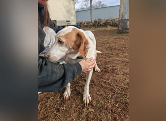 Zarte IRMA sucht Zuhause oder PS ❤️