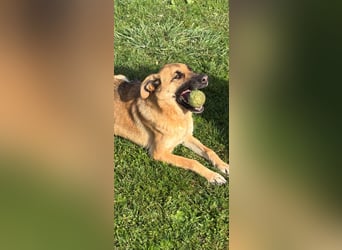 Luna wartet auf ihr Glück❤️