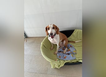 MIO sucht sein Für-Immer-Körbchen ❤️