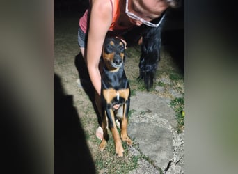 MOLI wartet auf ihrer Familie❤️