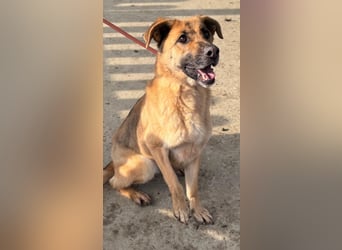 Luna wartet auf ihr Glück❤️