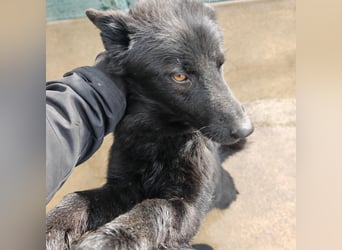 Liebe Mirka sucht ihre Familie ❤️