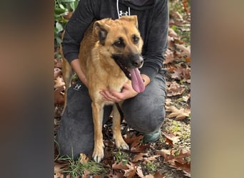 Luna wartet auf ihr Glück❤️