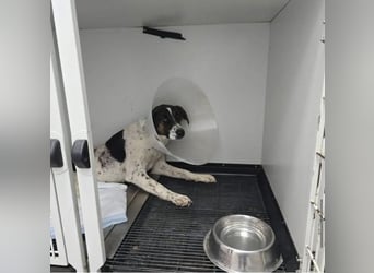 Notfall Nadezhda ❤️