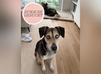 Menschenbezogene RONJA sucht perfect match ❤️