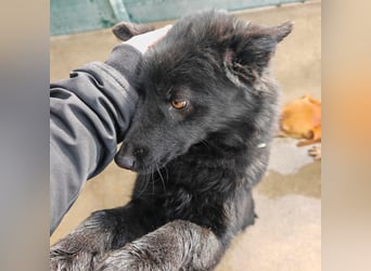 Liebe Mirka sucht ihre Familie ❤️