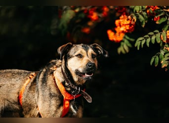 Fröhliche Bulotschka sucht ihre Familie