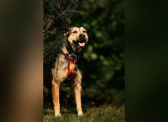 Fröhliche Bulotschka sucht ihre Familie