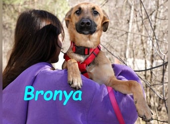 Bronya geb. 04/2024 - neugieriger und lernwilliger kleiner Entdecker!