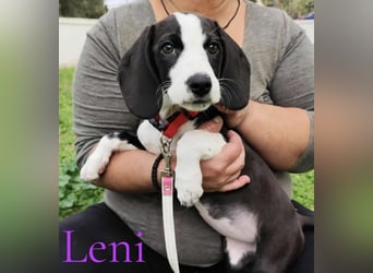 Leni geb. 08/2025 (GRC) - liebevolles und fröhliches, kleines Flaschenkind!