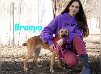 Bronya geb. 04/2024 - neugieriger und lernwilliger kleiner Entdecker!