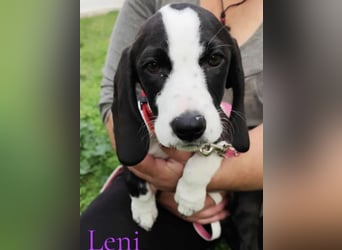 Leni geb. 08/2025 (GRC) - liebevolles und fröhliches, kleines Flaschenkind!