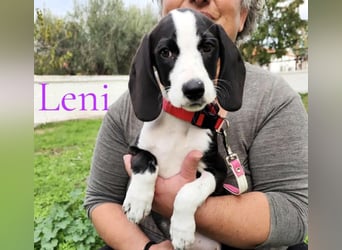 Leni geb. 08/2025 (GRC) - liebevolles und fröhliches, kleines Flaschenkind!