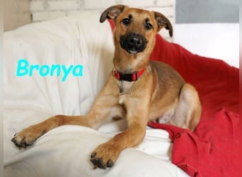 Bronya geb. 04/2024 - neugieriger und lernwilliger kleiner Entdecker!
