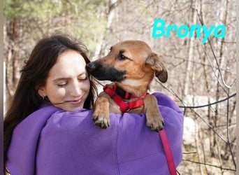 Bronya geb. 04/2024 - neugieriger und lernwilliger kleiner Entdecker!