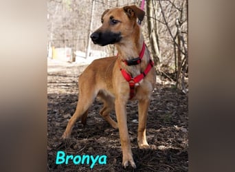 Bronya geb. 04/2024 - neugieriger und lernwilliger kleiner Entdecker!