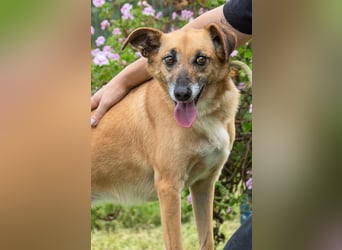 Sunny – eine selbstbewusste Dame