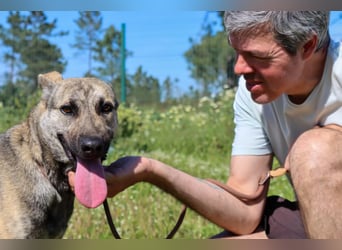 Jennifer – ein liebes Mädchen