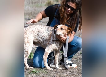 Duke – ein Schatz mit Handicap