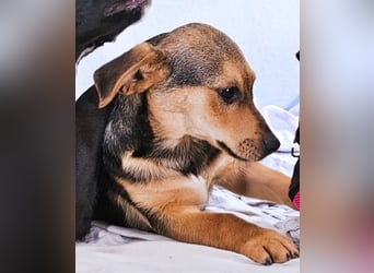 Moritz – ein kleiner Charmeur