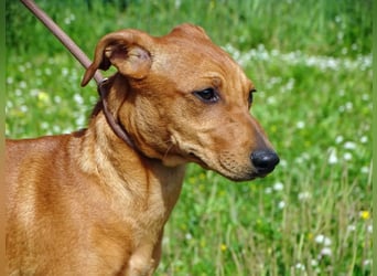 Ciana - eine sanfte Nachzüglerin