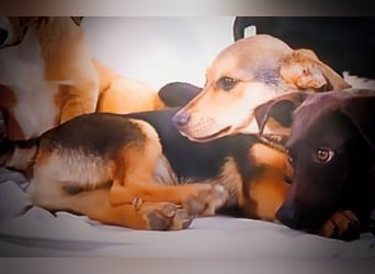 Moritz – ein kleiner Charmeur