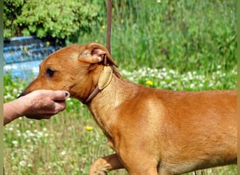 Ciana - eine sanfte Nachzüglerin