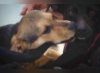 Moritz – ein kleiner Charmeur