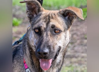 Jennifer – ein liebes Mädchen