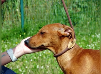 Ciana - eine sanfte Nachzüglerin