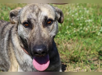 Jennifer – ein liebes Mädchen