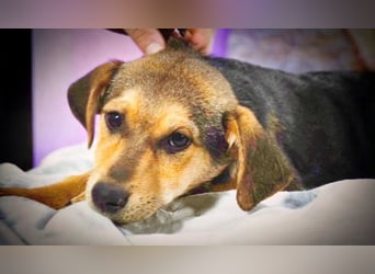 Moritz – ein kleiner Charmeur