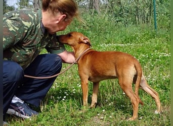 Ciana - eine sanfte Nachzüglerin