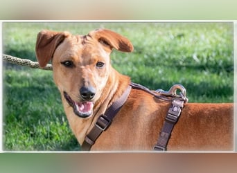 Ciana - eine sanfte Nachzüglerin