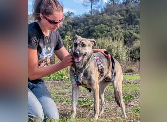 Jennifer – ein liebes Mädchen